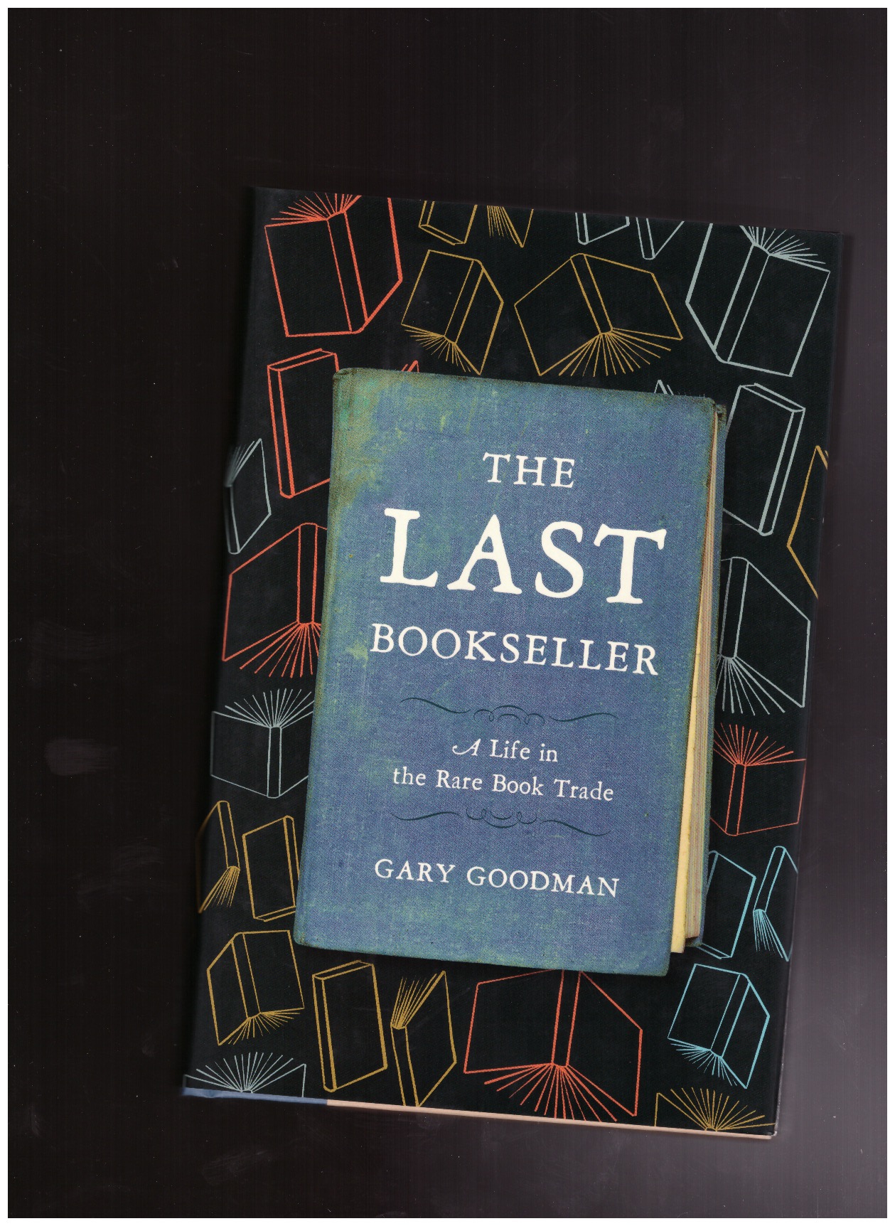 GOODMAN, Gary - The Last Bookseller